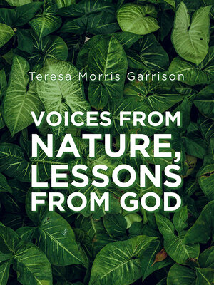 cover image of Voices From Nature, Lessons From God